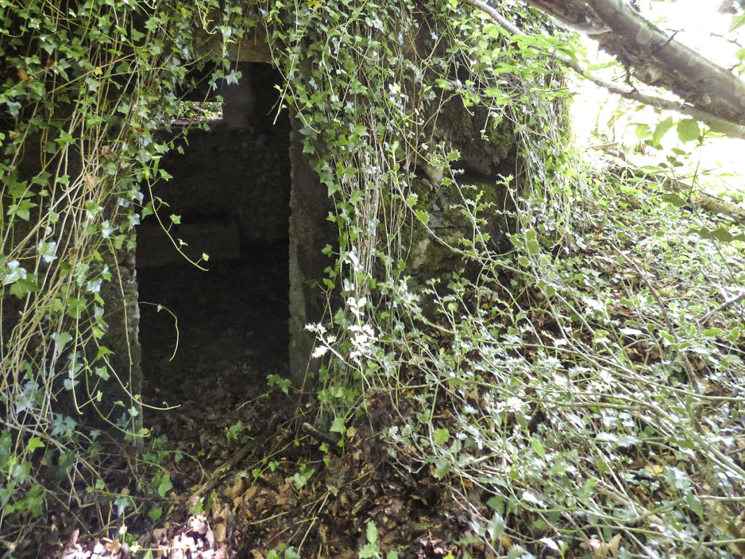 Ligne Maginot - BA45 - GRAND DOUAIRE OUEST - (Blockhaus pour arme infanterie) - 