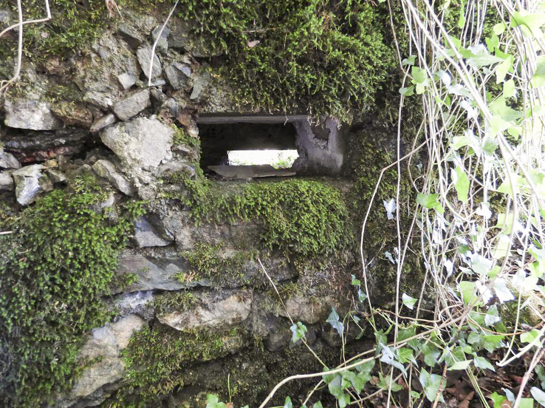 Ligne Maginot - BA45 - GRAND DOUAIRE OUEST - (Blockhaus pour arme infanterie) - 