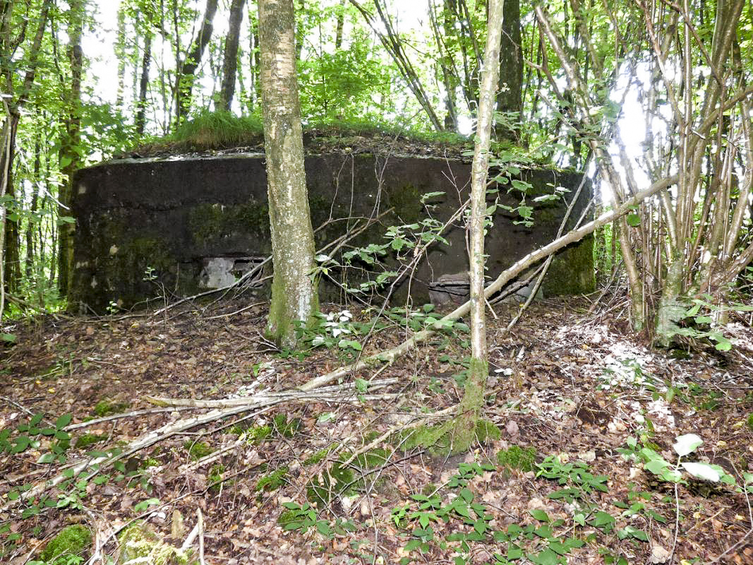 Ligne Maginot - BA46 - ETANG DE GLAND - (Blockhaus pour arme infanterie) - 