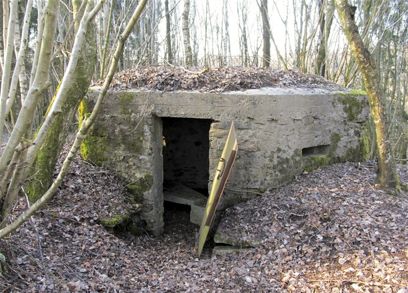 Ligne Maginot - BA46 - ETANG DE GLAND - (Blockhaus pour arme infanterie) - 
