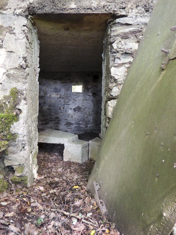 Ligne Maginot - BA46 - ETANG DE GLAND - (Blockhaus pour arme infanterie) - 