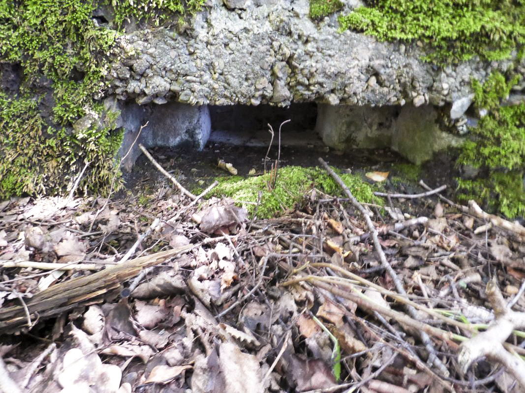 Ligne Maginot - BA46 - ETANG DE GLAND - (Blockhaus pour arme infanterie) - 