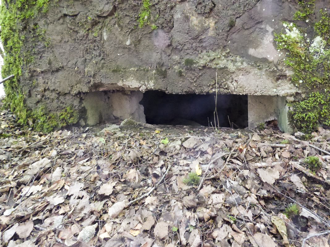 Ligne Maginot - BA46 - ETANG DE GLAND - (Blockhaus pour arme infanterie) - 