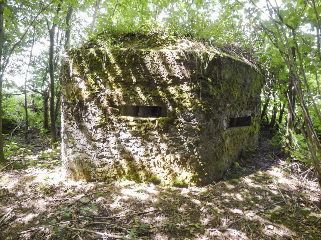 Ligne Maginot - BA48 - GRAND DOUAIRE EST - (Blockhaus pour arme infanterie) - 