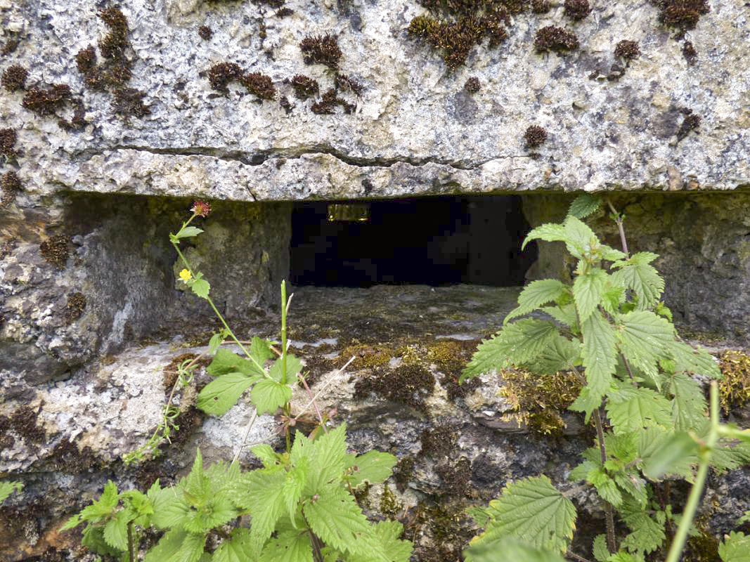 Ligne Maginot - BA48 - GRAND DOUAIRE EST - (Blockhaus pour arme infanterie) - 