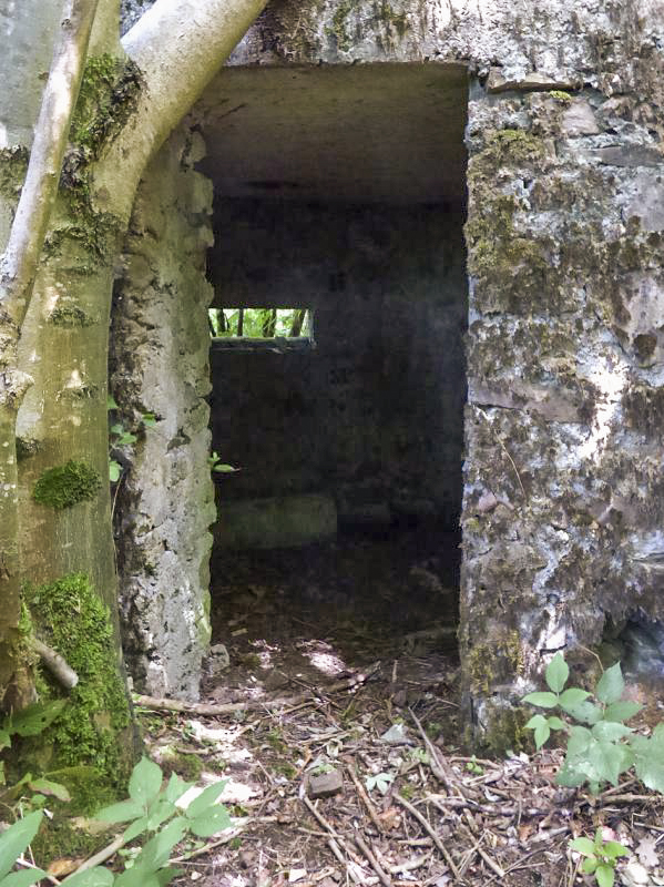 Ligne Maginot - BA48 - GRAND DOUAIRE EST - (Blockhaus pour arme infanterie) -  - JMBrams