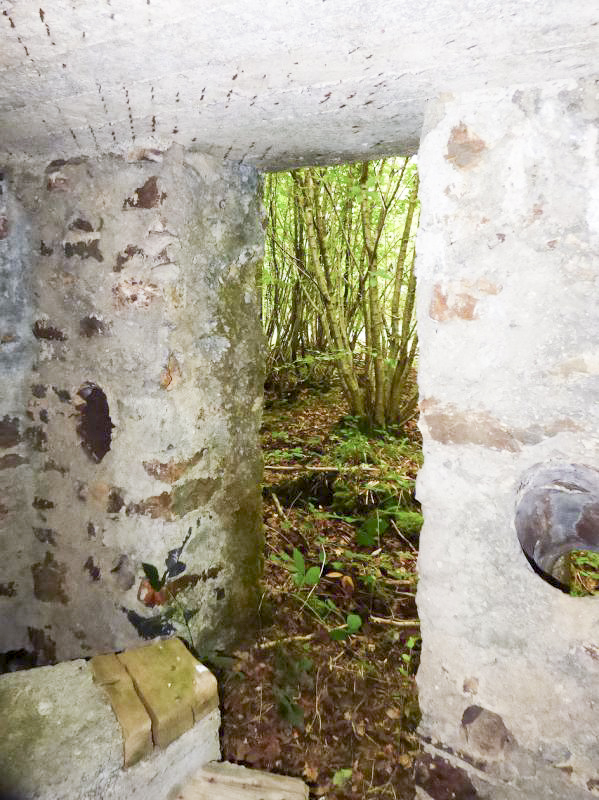 Ligne Maginot - BA50 - ALLÉE DES CHEVREUILS - (Blockhaus pour arme infanterie) -  - JMBrams