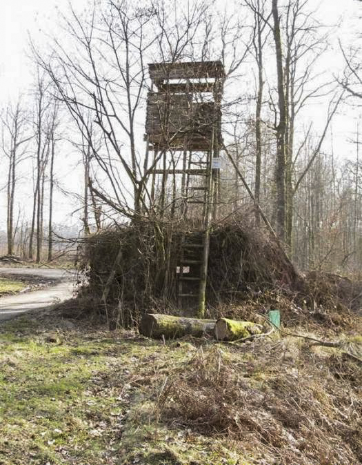Ligne Maginot - BA51 - ALLÉE DES SANGLIERS - (Blockhaus pour arme infanterie) -  - François MATHOT