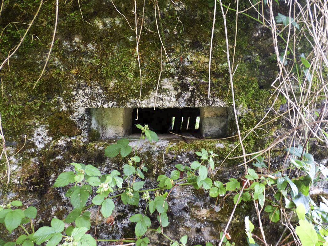 Ligne Maginot - BA51 - ALLÉE DES SANGLIERS - (Blockhaus pour arme infanterie) -  - JMBrams