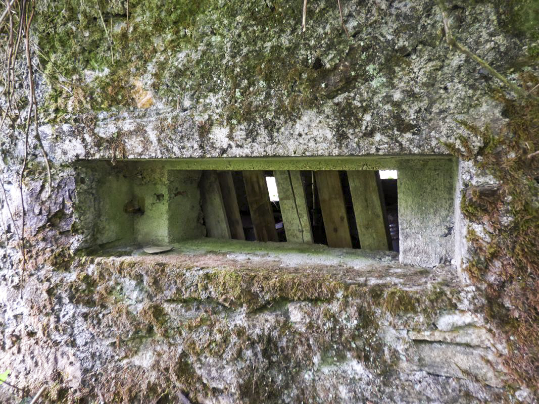 Ligne Maginot - BA51 - ALLÉE DES SANGLIERS - (Blockhaus pour arme infanterie) -  - JMBrams