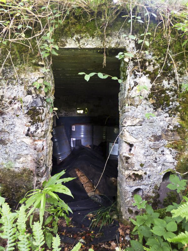 Ligne Maginot - BA51 - ALLÉE DES SANGLIERS - (Blockhaus pour arme infanterie) -  - JMBrams