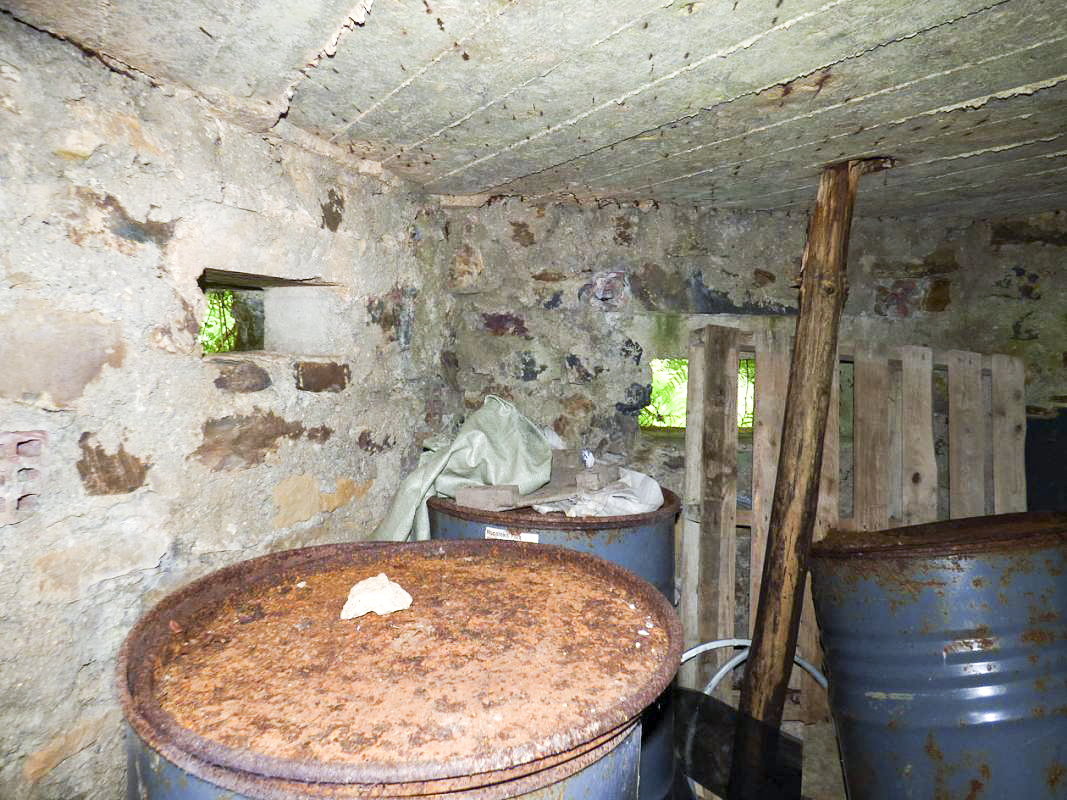 Ligne Maginot - BA51 - ALLÉE DES SANGLIERS - (Blockhaus pour arme infanterie) -  - JMBrams