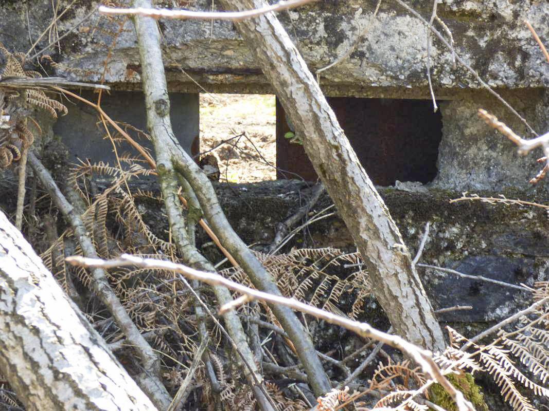 Ligne Maginot - BA55 - LA LOUVIÈRE - (Blockhaus pour arme infanterie) - 