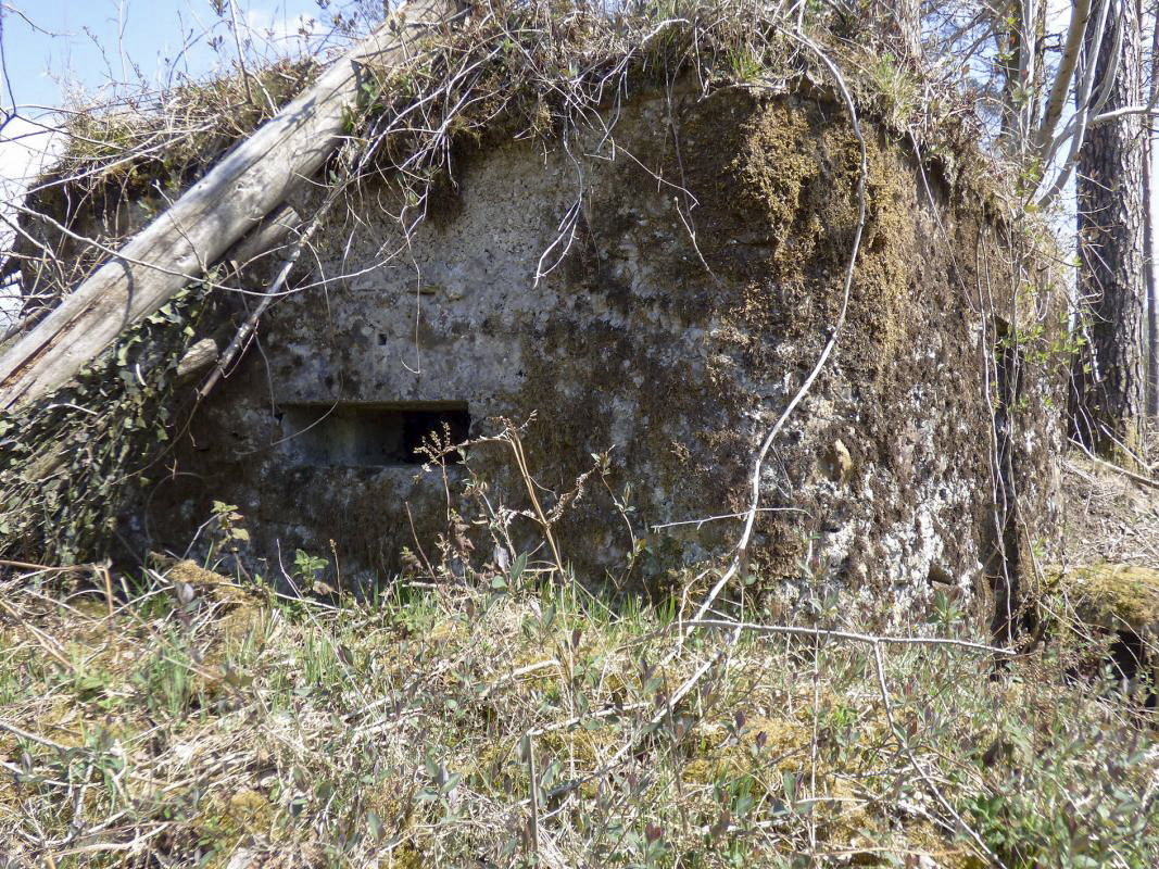 Ligne Maginot - BA55 - LA LOUVIÈRE - (Blockhaus pour arme infanterie) -  - JMBrams