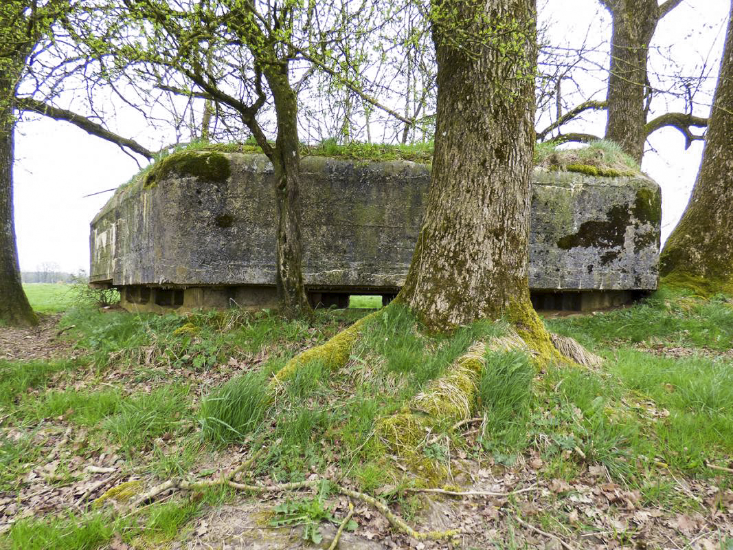 Ligne Maginot - BA62 - LA SONGIÈRE EST - (Blockhaus pour canon) - 