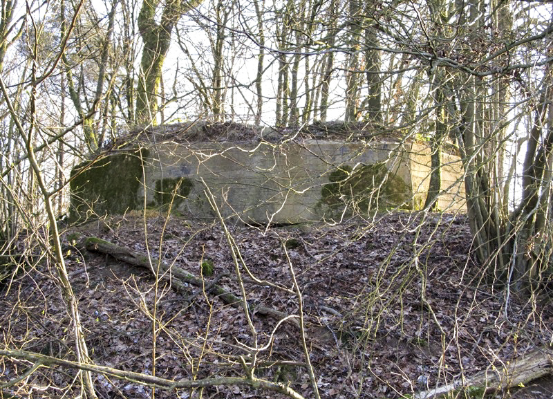 Ligne Maginot - BA61BIS - LE PRÉ FORGET SUD - (Blockhaus pour canon) - 