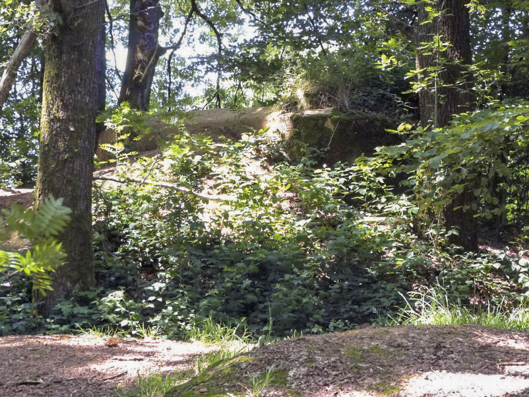 Ligne Maginot - BA61BIS - LE PRÉ FORGET SUD - (Blockhaus pour canon) - 