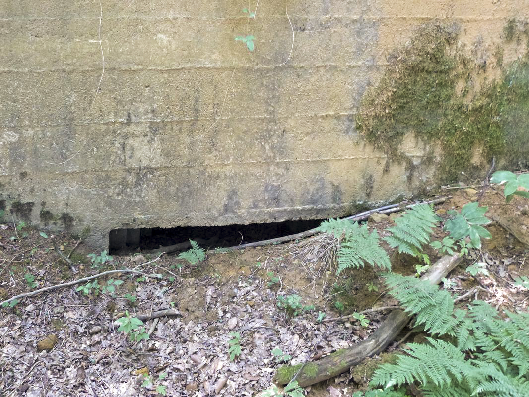 Ligne Maginot - BA61BIS - LE PRÉ FORGET SUD - (Blockhaus pour canon) - 