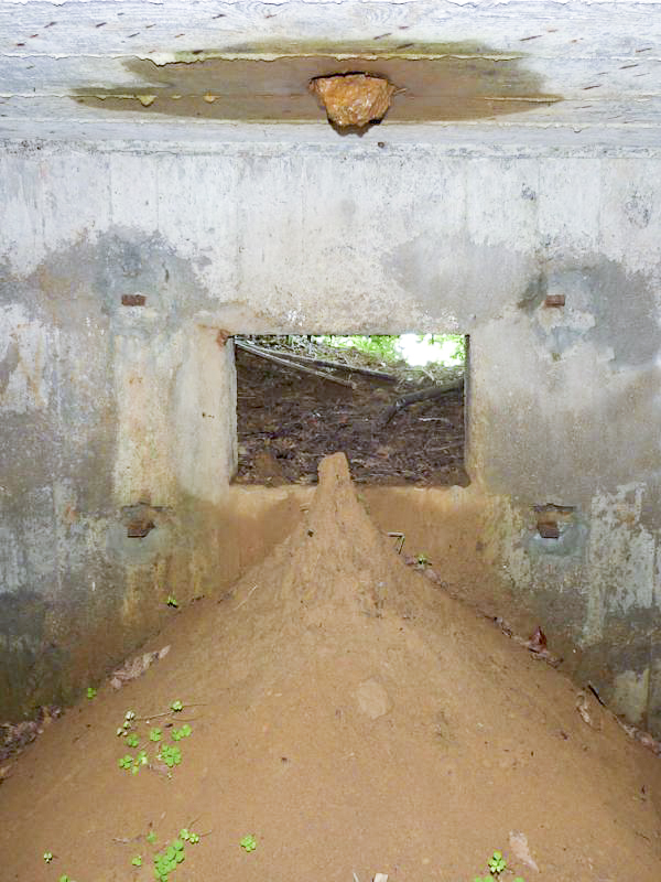 Ligne Maginot - BA61BIS - LE PRÉ FORGET SUD - (Blockhaus pour canon) - 