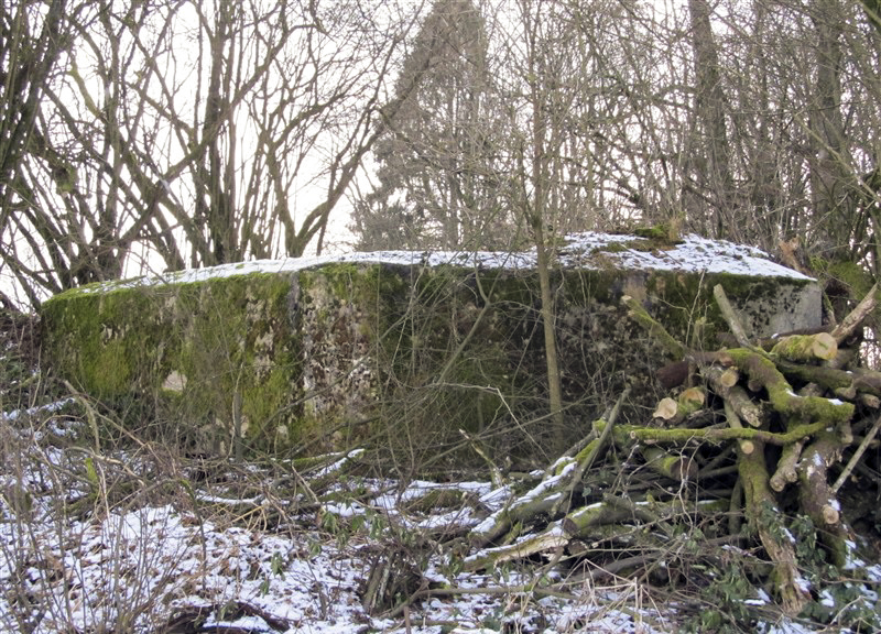 Ligne Maginot - BA61 - LE VOSGIAT OUEST - (Blockhaus pour canon) - 