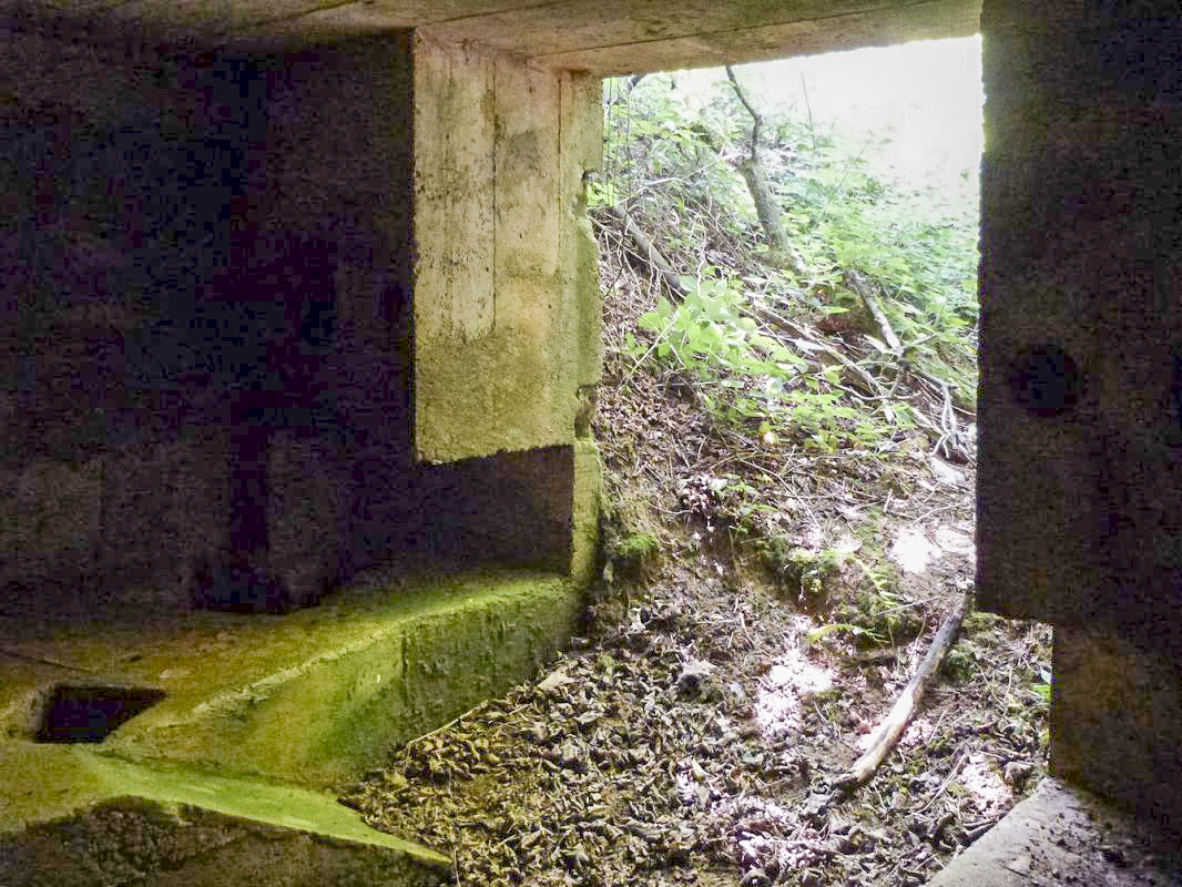 Ligne Maginot - BA61 - LE VOSGIAT OUEST - (Blockhaus pour canon) - 