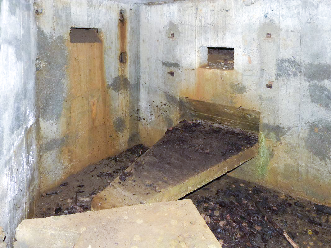 Ligne Maginot - BA61 - LE VOSGIAT OUEST - (Blockhaus pour canon) - 