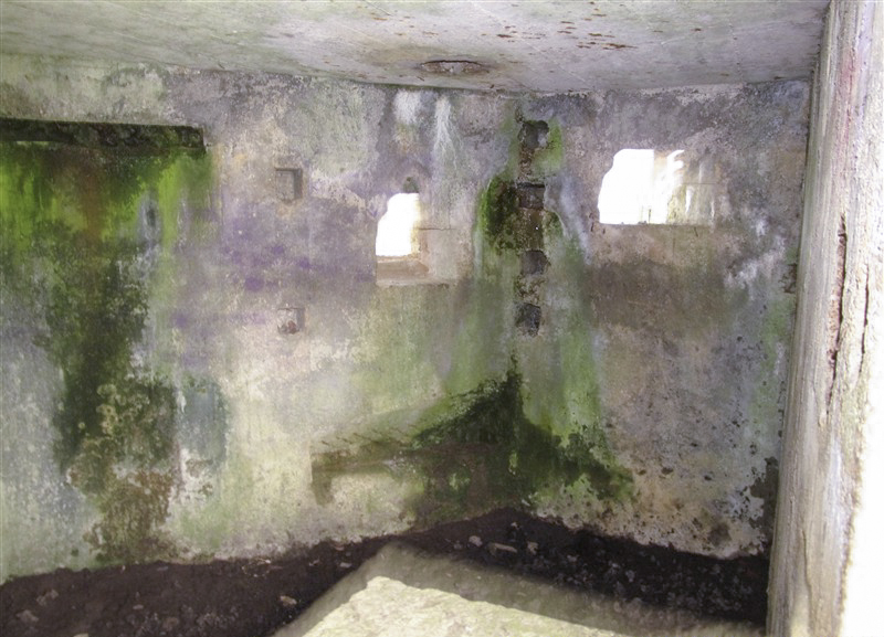 Ligne Maginot - BA59 - LE FRANC PRE NORD - (Blockhaus pour canon) - 