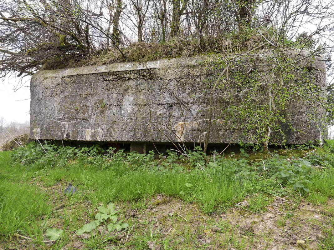Ligne Maginot - BA57 - LA SONGIÈRE OUEST - (Blockhaus pour canon) - 