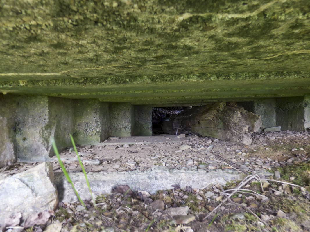 Ligne Maginot - BA57 - LA SONGIÈRE OUEST - (Blockhaus pour canon) - 