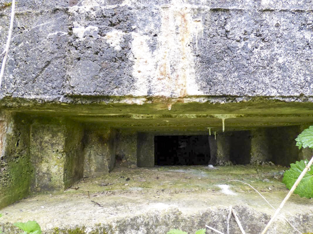 Ligne Maginot - BA57 - LA SONGIÈRE OUEST - (Blockhaus pour canon) - 