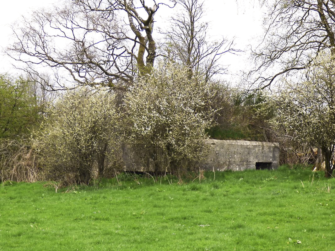 Ligne Maginot - BA57 - LA SONGIÈRE OUEST - (Blockhaus pour canon) - 