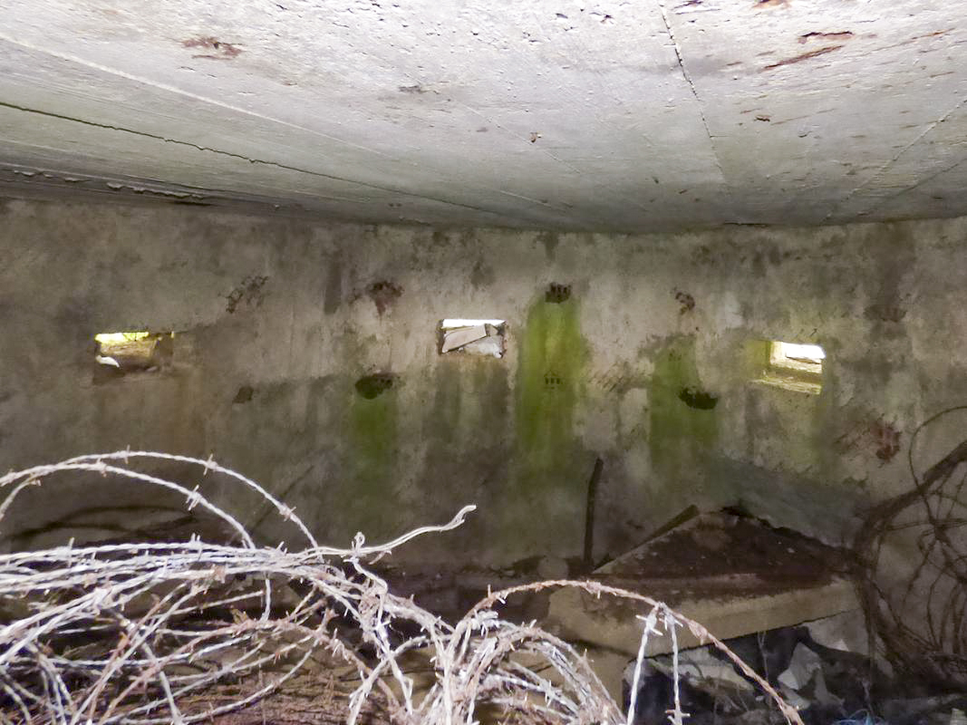 Ligne Maginot - BA57 - LA SONGIÈRE OUEST - (Blockhaus pour canon) - 