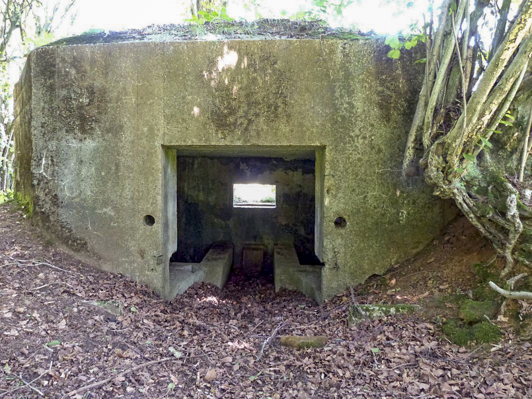 Ligne Maginot - BA56 - LA SABLONNIÈRE - (Blockhaus pour canon) - 