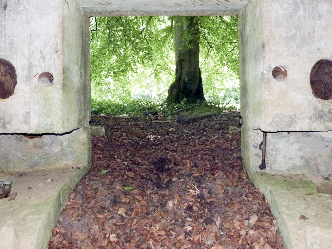 Ligne Maginot - BA56 - LA SABLONNIÈRE - (Blockhaus pour canon) - 