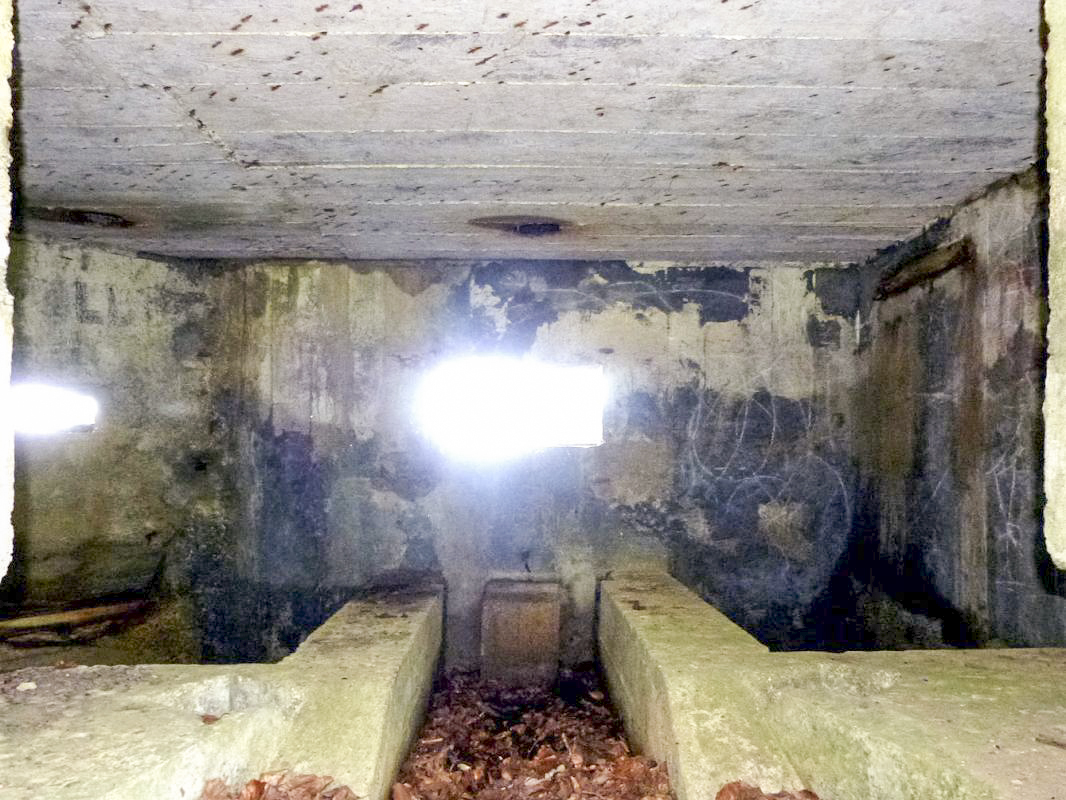 Ligne Maginot - BA56 - LA SABLONNIÈRE - (Blockhaus pour canon) - 