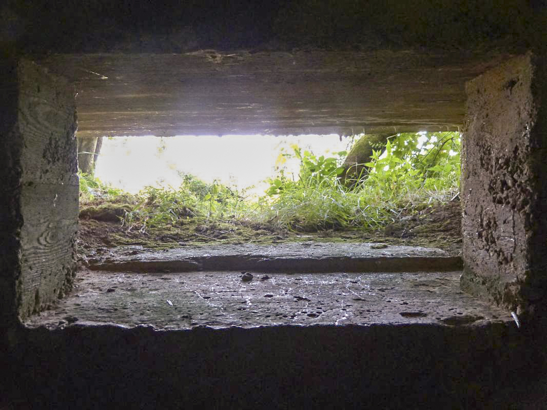 Ligne Maginot - BA56 - LA SABLONNIÈRE - (Blockhaus pour canon) - 