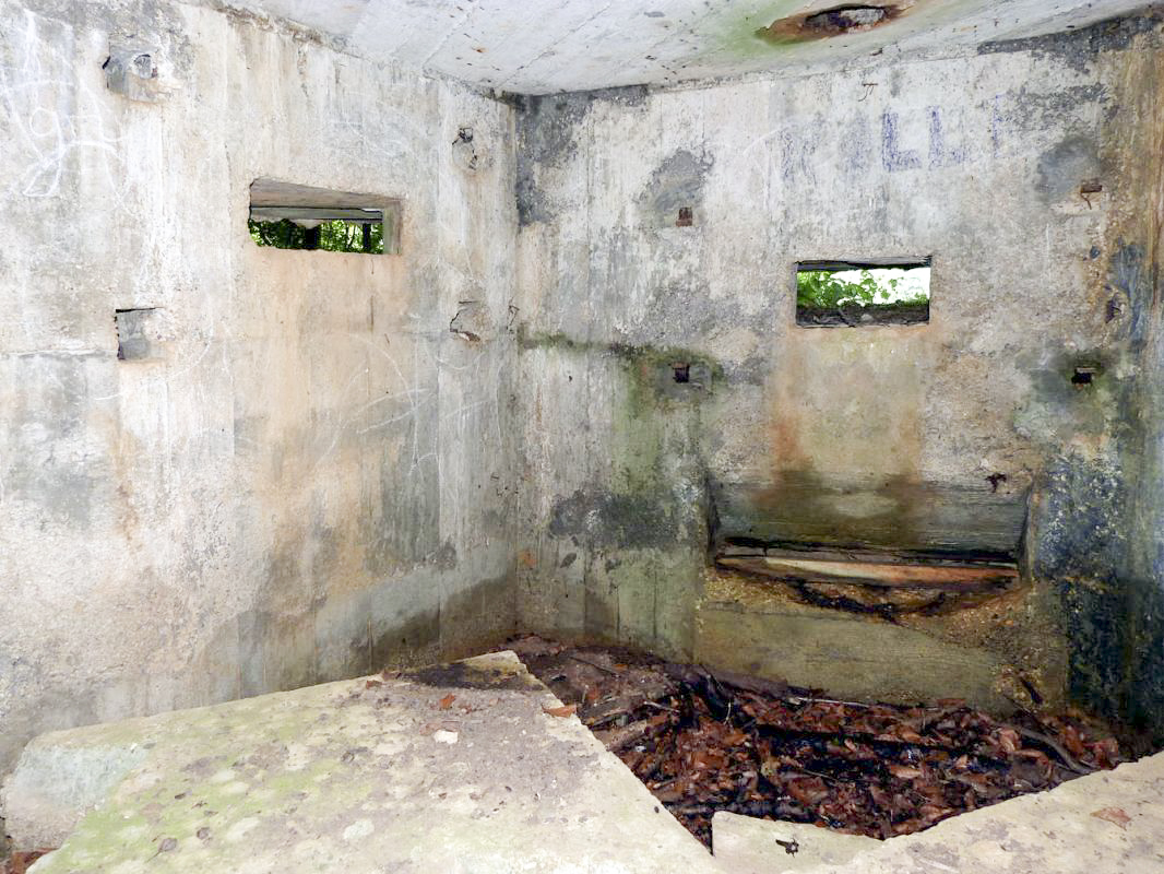 Ligne Maginot - BA56 - LA SABLONNIÈRE - (Blockhaus pour canon) - 
