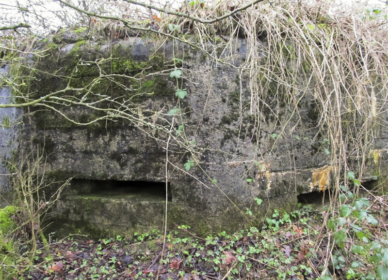 Ligne Maginot - BA65 - CHATEAU BLANC - (Blockhaus pour canon) - 