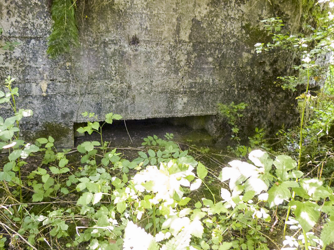 Ligne Maginot - BA65 - CHATEAU BLANC - (Blockhaus pour canon) - 