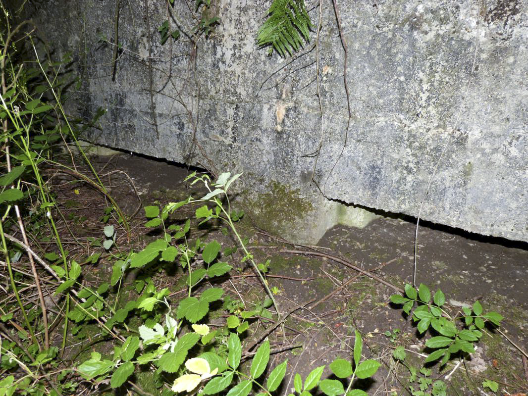 Ligne Maginot - BA65 - CHATEAU BLANC - (Blockhaus pour canon) - 