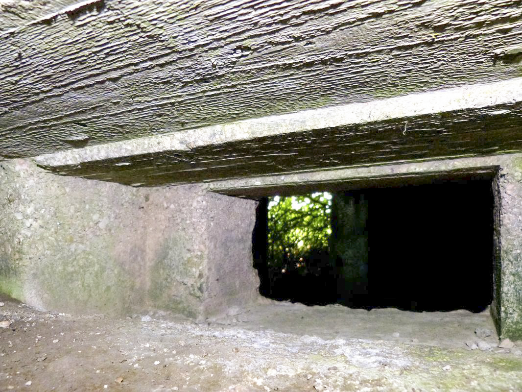 Ligne Maginot - BA65 - CHATEAU BLANC - (Blockhaus pour canon) - 