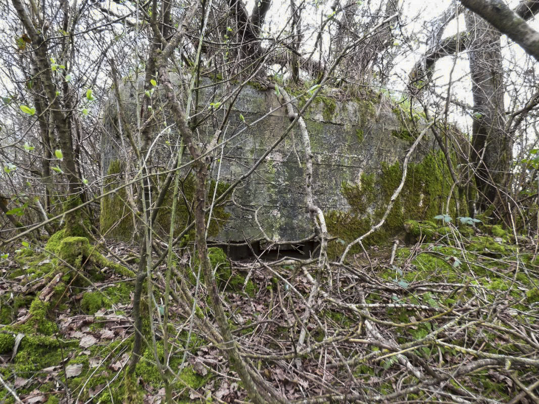 Ligne Maginot - BA66 - LES AISEMENTS EST - (Blockhaus pour canon) - 