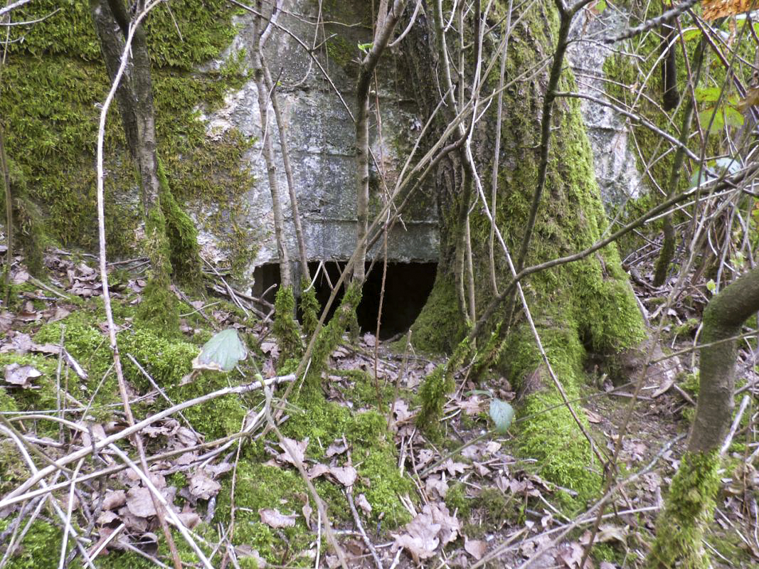 Ligne Maginot - BA66 - LES AISEMENTS EST - (Blockhaus pour canon) - 