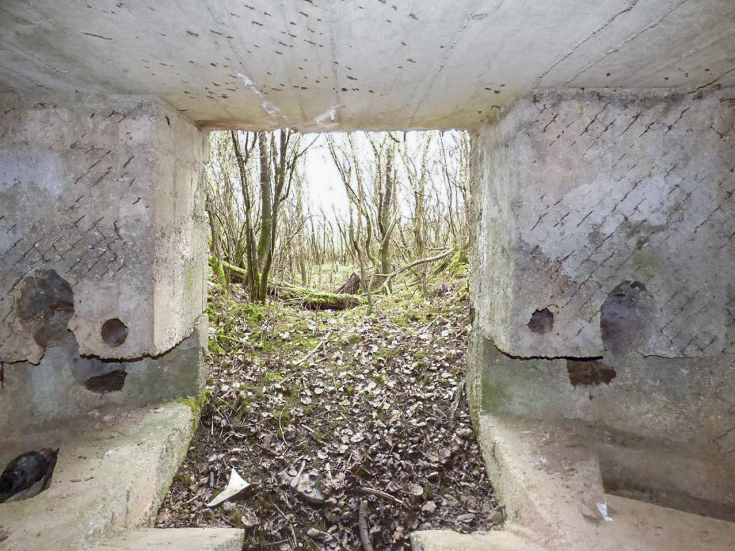 Ligne Maginot - BA66 - LES AISEMENTS EST - (Blockhaus pour canon) - 