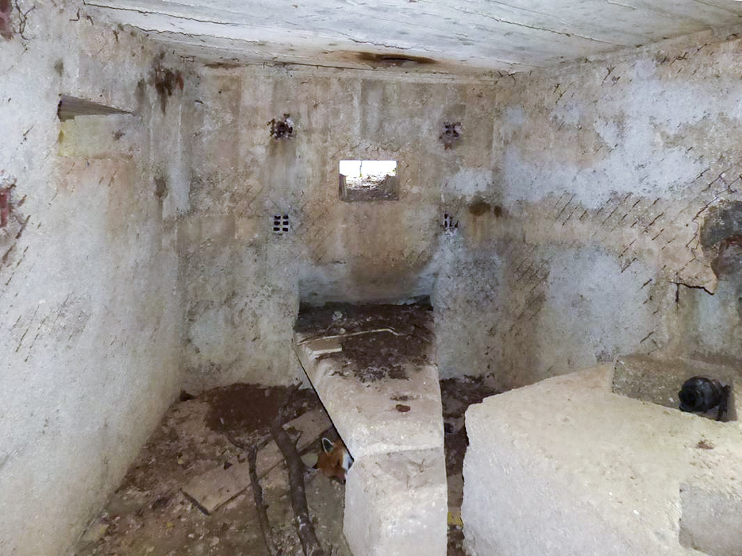 Ligne Maginot - BA66 - LES AISEMENTS EST - (Blockhaus pour canon) - 