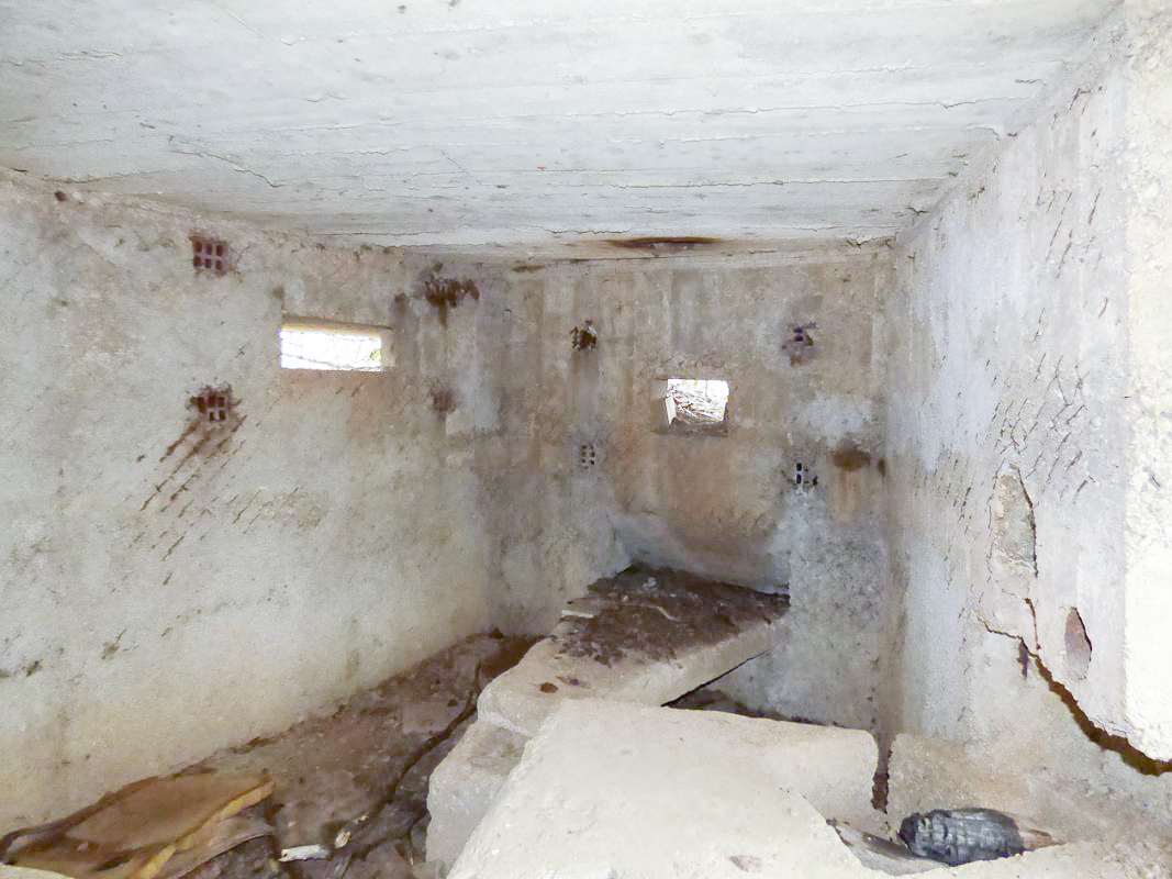 Ligne Maginot - BA66 - LES AISEMENTS EST - (Blockhaus pour canon) - 