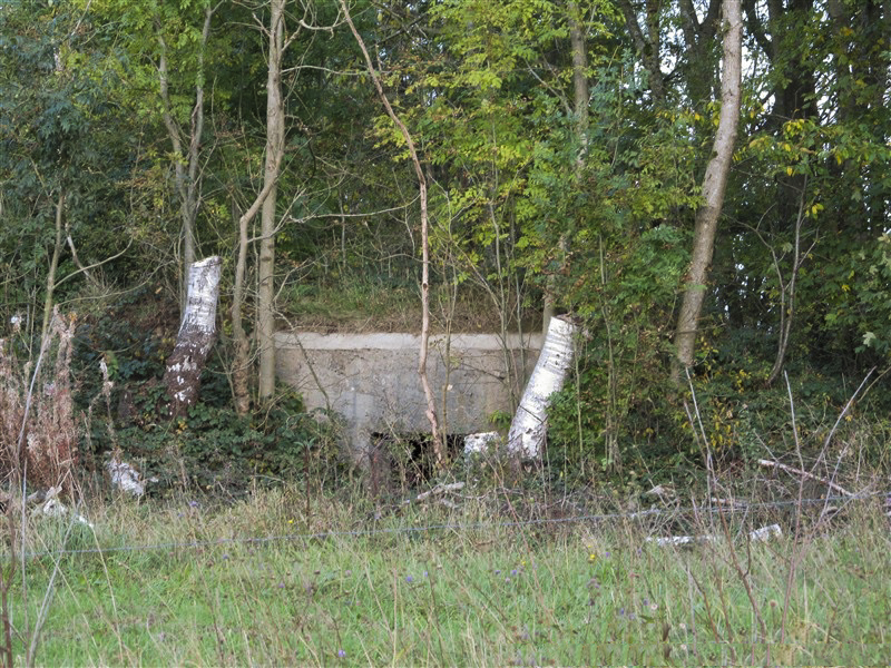 Ligne Maginot - BA67 - ROUTE DE FOURCHEMAQUE NORD - (Blockhaus pour canon) - 