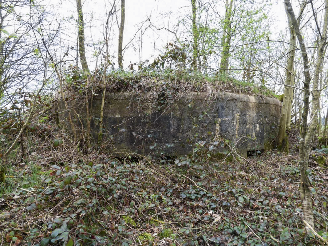Ligne Maginot - BA67 - ROUTE DE FOURCHEMAQUE NORD - (Blockhaus pour canon) - 