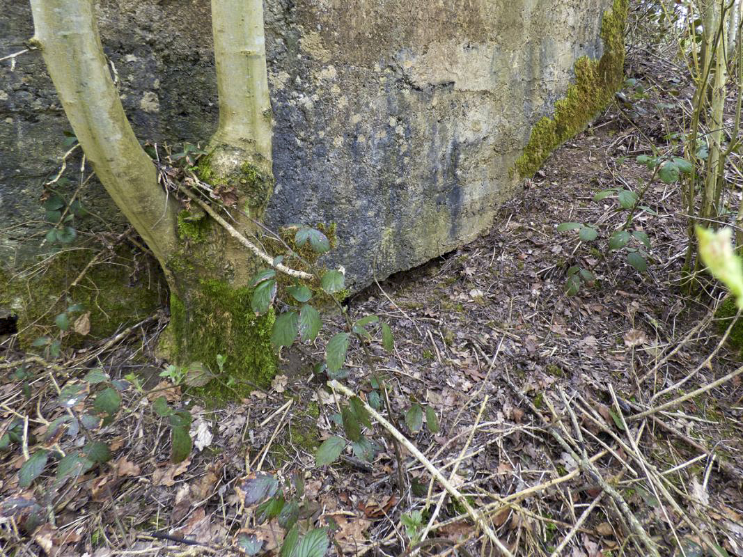 Ligne Maginot - BA67 - ROUTE DE FOURCHEMAQUE NORD - (Blockhaus pour canon) - 