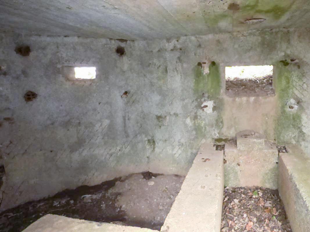 Ligne Maginot - BA67 - ROUTE DE FOURCHEMAQUE NORD - (Blockhaus pour canon) - 